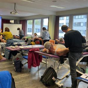 Dry Needling - Intramuskuläre Stimulation (IMS)